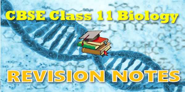 Structural Organisation in Animals class 11 Notes Biology | myCBSEguide