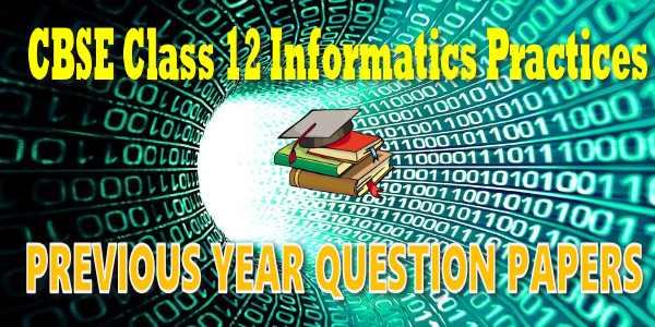 Last Year Paper Class 12 informatics practices